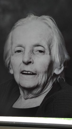 IMG_20241009_150437 IMG_20241009_150437